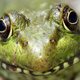 Foto: psychmike / Flickr, bajo licencia Creative Commons